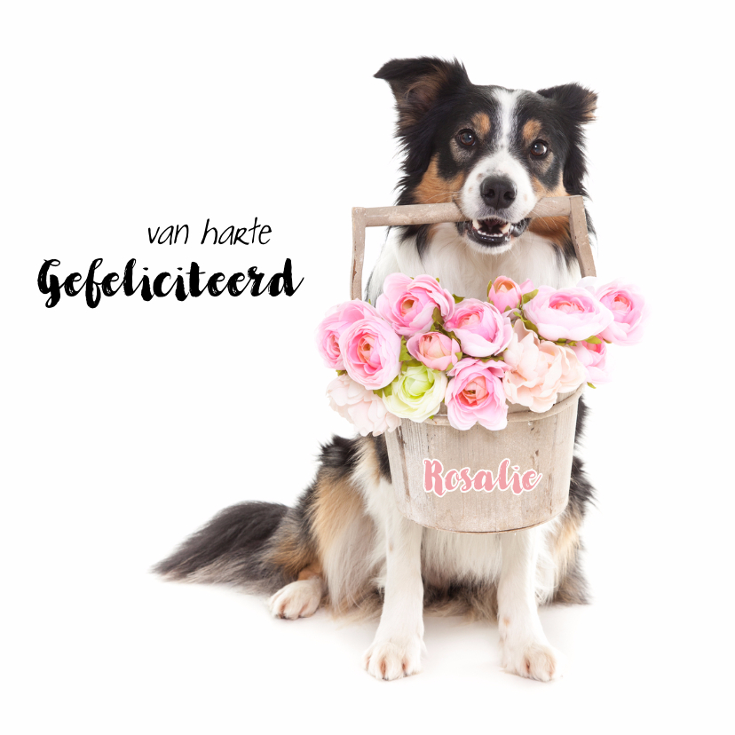 Verjaardagskaarten - Dieren verjaardagskaart - Border Collie Bloemen