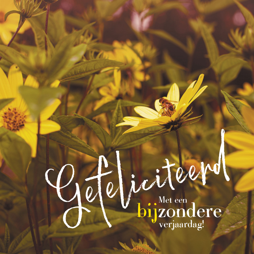 Een 'bij'zondere verjaardagskaart - Verjaardagskaarten Verjaardagskaarten - Een 'bij'zondere verjaardagskaart
