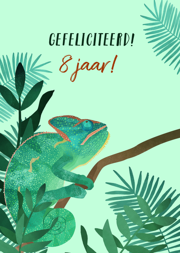 Felicitatiekaart Kameleon - Verjaardagskaarten Verjaardagskaarten - Felicitatiekaart Kameleon