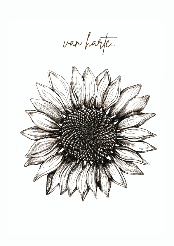 Felicitatiekaart met originele zonnebloem illustratie - Verjaardagskaarten Verjaardagskaarten - Felicitatiekaart met originele zonnebloem illustratie