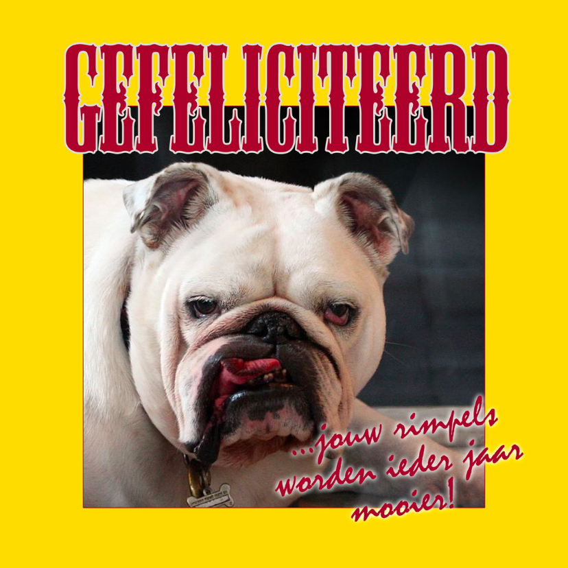 Felicitatiekaart met rimpelige bulldog - Verjaardagskaarten Verjaardagskaarten - Felicitatiekaart met rimpelige bulldog