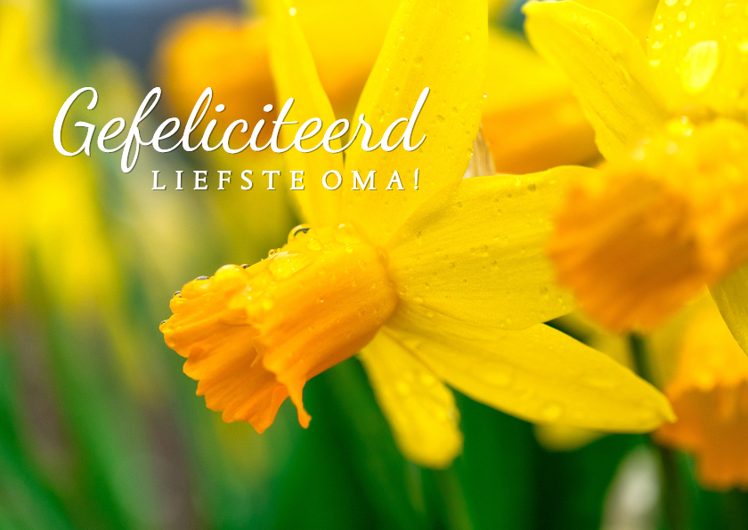 Verjaardagskaarten - Felicitatiekaart verjaardag oma narcissen