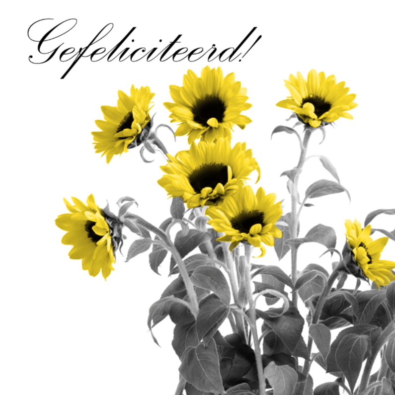 Verjaardagskaarten - Gefeliciteerd zonnebloemen