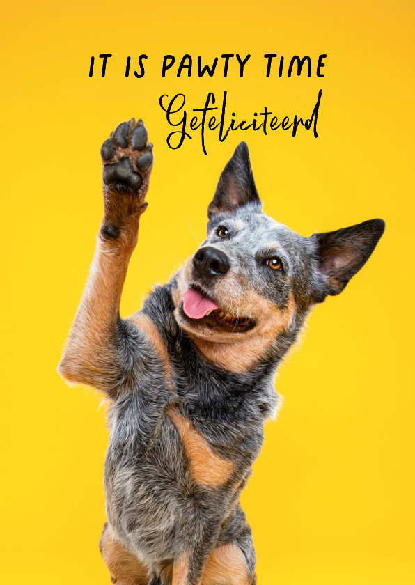 Grappige, lieve felicitatiekaart kaart van hond met high 5 - Verjaardagskaarten Verjaardagskaarten - Grappige, lieve felicitatiekaart kaart van hond met high 5