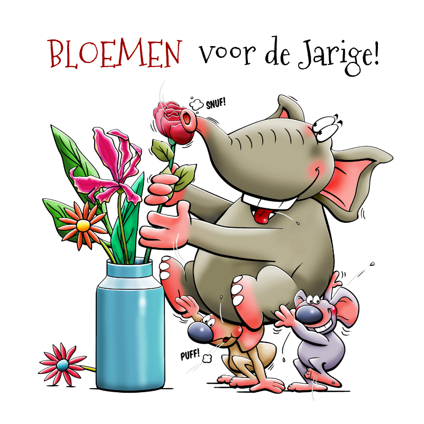 Verjaardagskaarten - Grappige verjaardagskaart felicitatie met olifant en muisjes