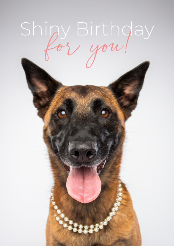 Verjaardagskaarten - Grappige verjaardagskaart herdershond met parelketting