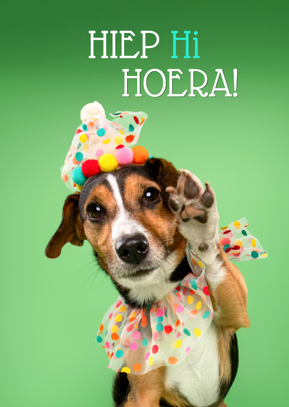 Verjaardagskaarten - Grappige verjaardagskaart hondje feestmuts en pootje