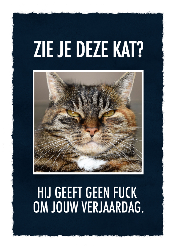 Grappige verjaardagskaart met leuke tekst & foto van een kat - Verjaardagskaarten Verjaardagskaarten - Grappige verjaardagskaart met leuke tekst & foto van een kat