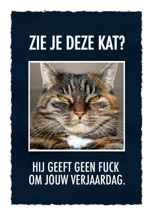 Verjaardagskaarten - Grappige verjaardagskaart met leuke tekst & foto van een kat