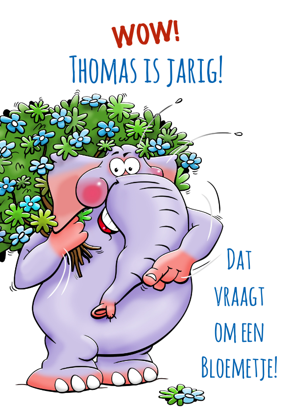 Verjaardagskaarten - Grappige verjaardagskaart olifant met bosje bloemen.