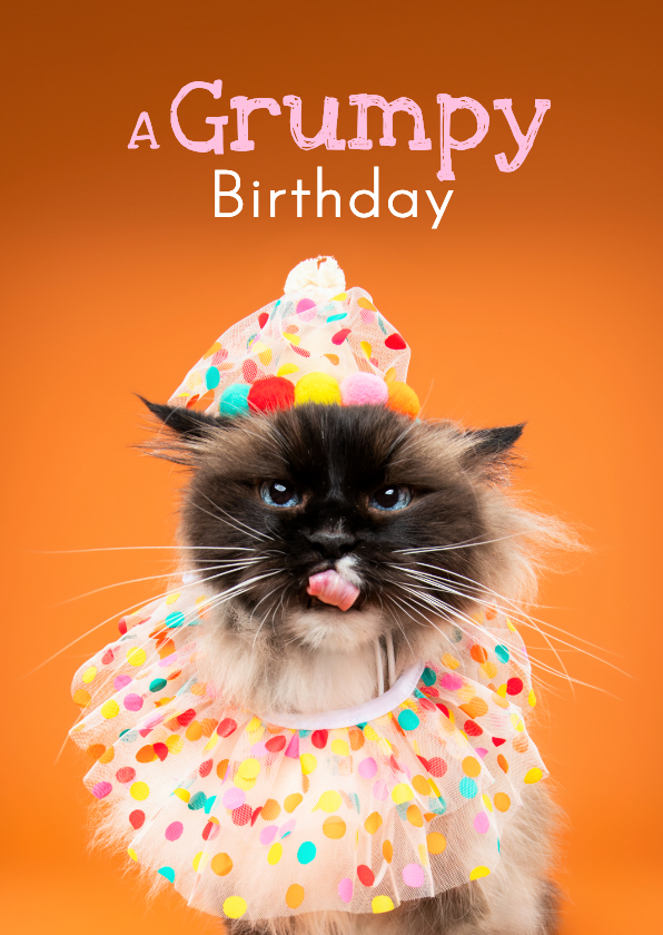 Grappige verjaardagskaart van grumpy kat met feestkleding - Verjaardagskaarten Verjaardagskaarten - Grappige verjaardagskaart van grumpy kat met feestkleding