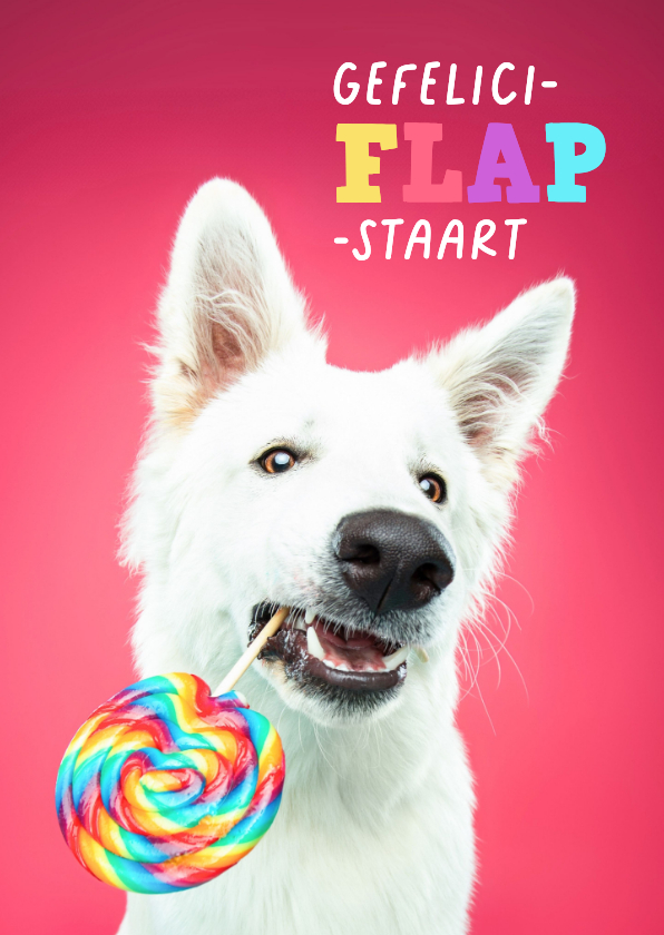 Grappige verjaardagskaart van herdershond met lolly - Verjaardagskaarten Verjaardagskaarten - Grappige verjaardagskaart van herdershond met lolly
