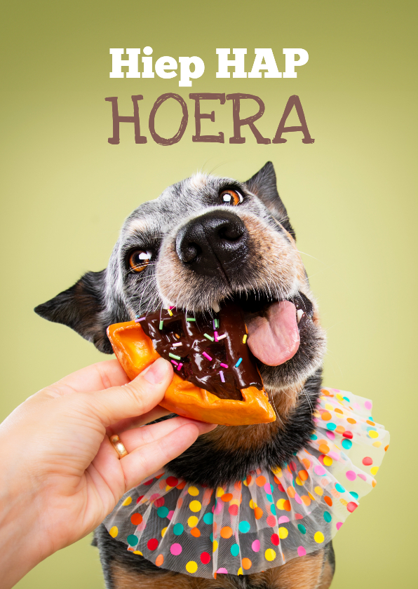 Verjaardagskaarten - Grappige verjaardagskaart van hond met cake en slabber