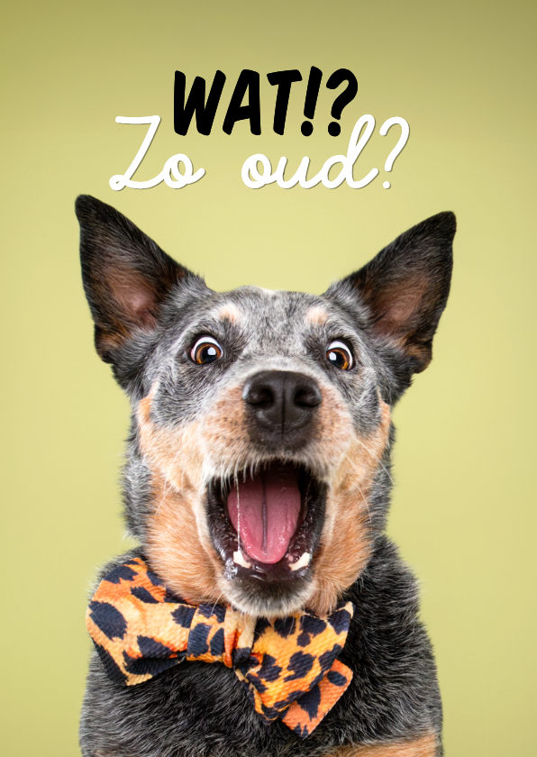 Verjaardagskaarten - Grappige verjaardagskaart van schrikkende hond leeftijd