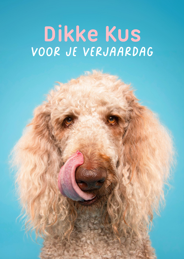 Grappige verjaardagskus door de brievenbus van poedel - Verjaardagskaarten Verjaardagskaarten - Grappige verjaardagskus door de brievenbus van poedel