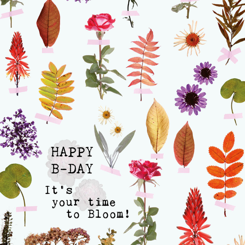 Happy B-day It's your time to bloom! - Verjaardagskaarten Verjaardagskaarten - Happy B-day It's your time to bloom!