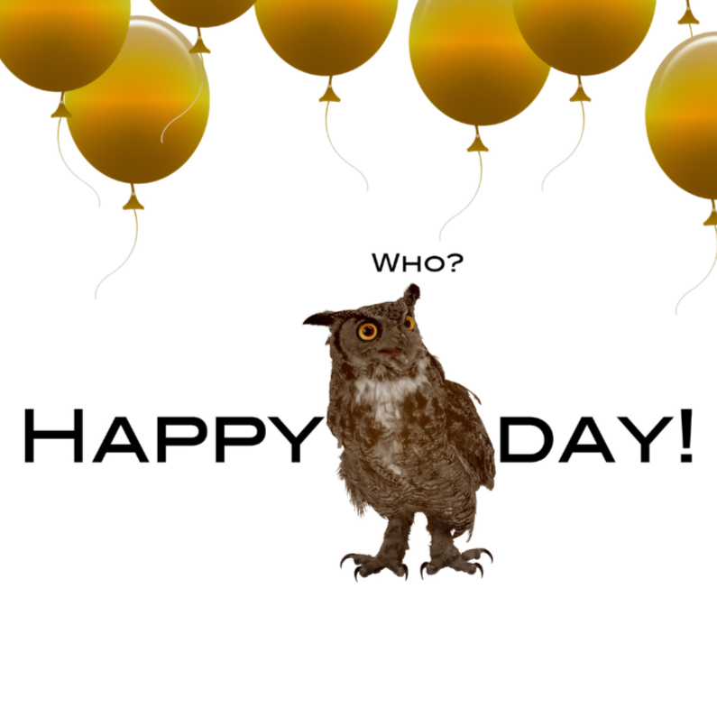 Happy bird day to you - Verjaardagskaarten Verjaardagskaarten - Happy bird day to you