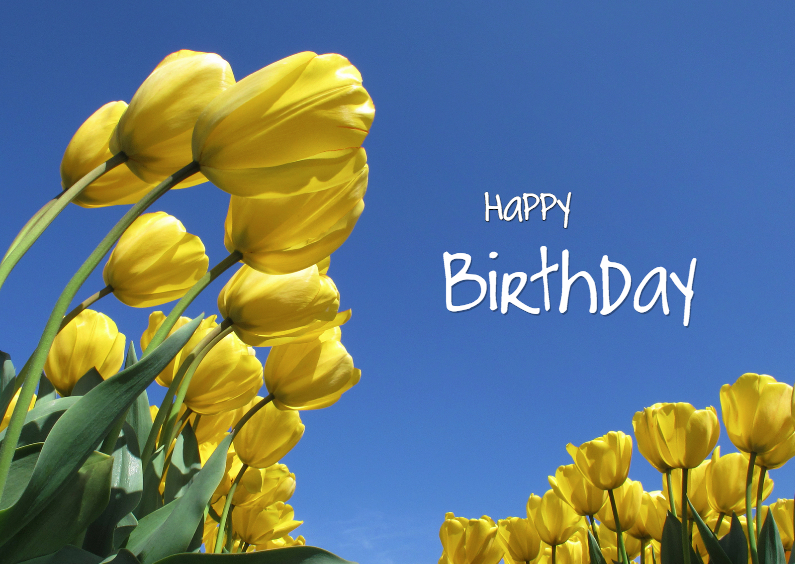 Verjaardagskaarten - Happy Birthday Gele Tulpen 