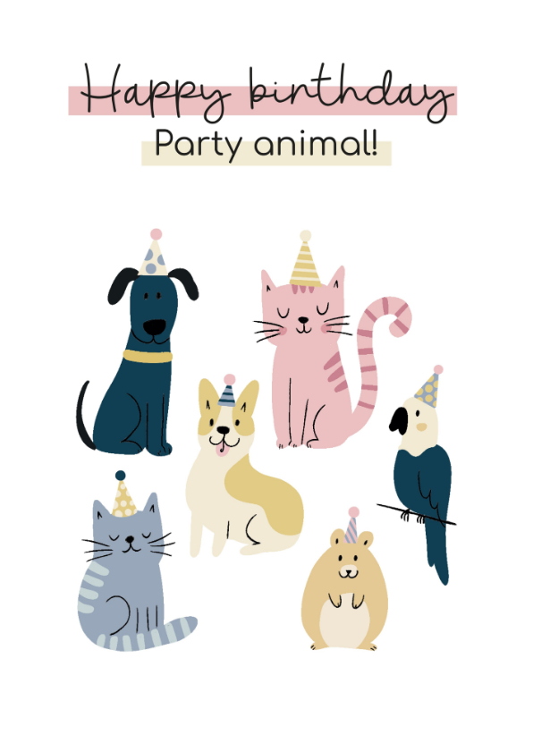 Verjaardagskaarten - Happy Birthday Party Animal