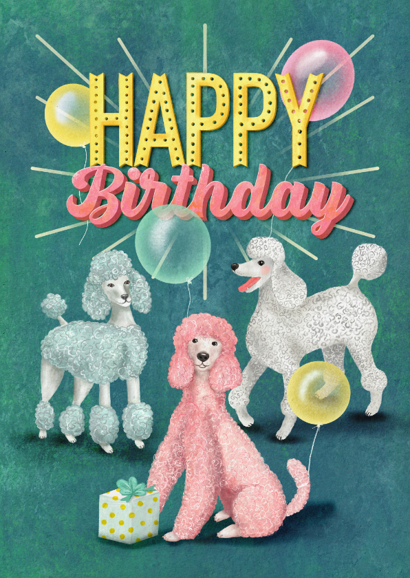 Verjaardagskaarten - Happy Poodle Birthday! Verjaardagkaart met gekleurde poedels