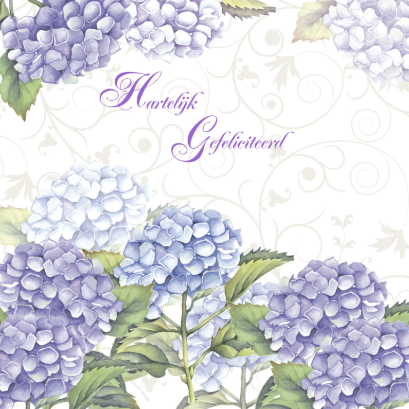 Hartelijk Gefeliciteerd hortensia - Verjaardagskaarten Verjaardagskaarten - Hartelijk Gefeliciteerd hortensia