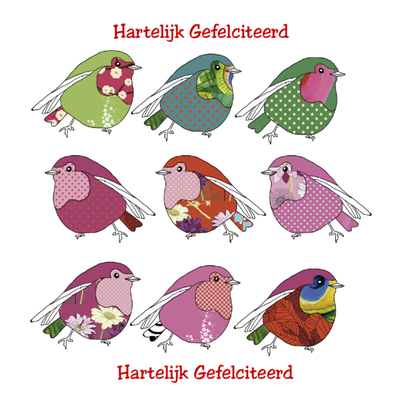 Hartelijk Gefeliciteerd met 9 vogeltjes - Verjaardagskaarten Verjaardagskaarten - Hartelijk Gefeliciteerd met 9 vogeltjes