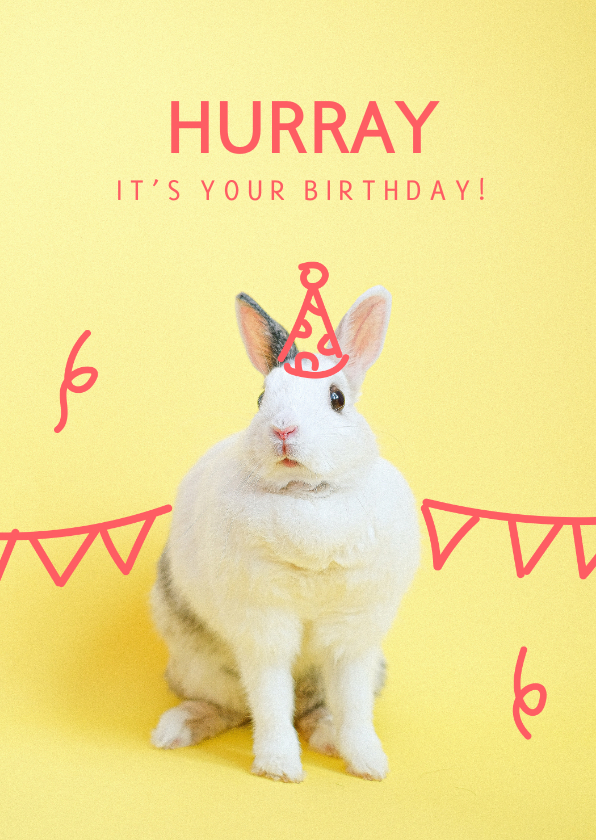 Verjaardagskaarten - Hippe felicitatiekaart met konijn met feesthoedje