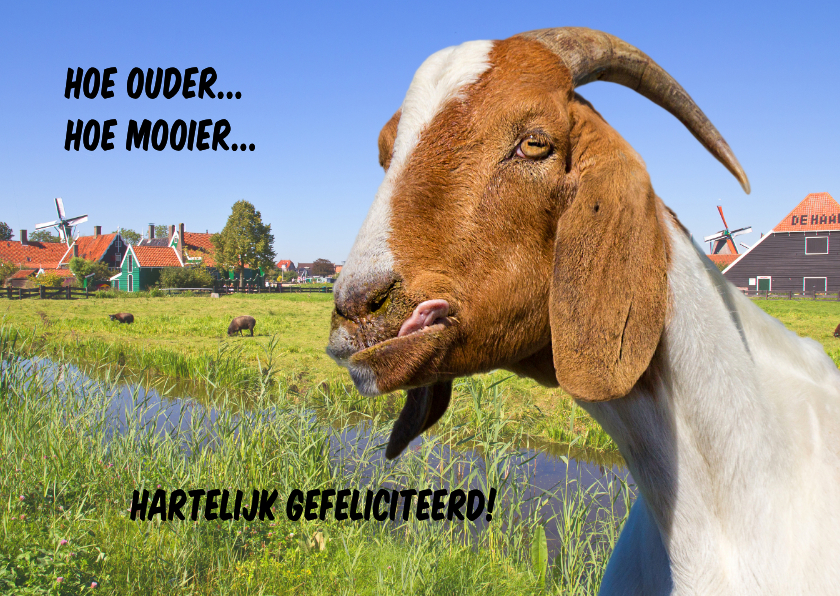 Jarig humor met geit - Verjaardagskaarten Verjaardagskaarten - Jarig humor met geit