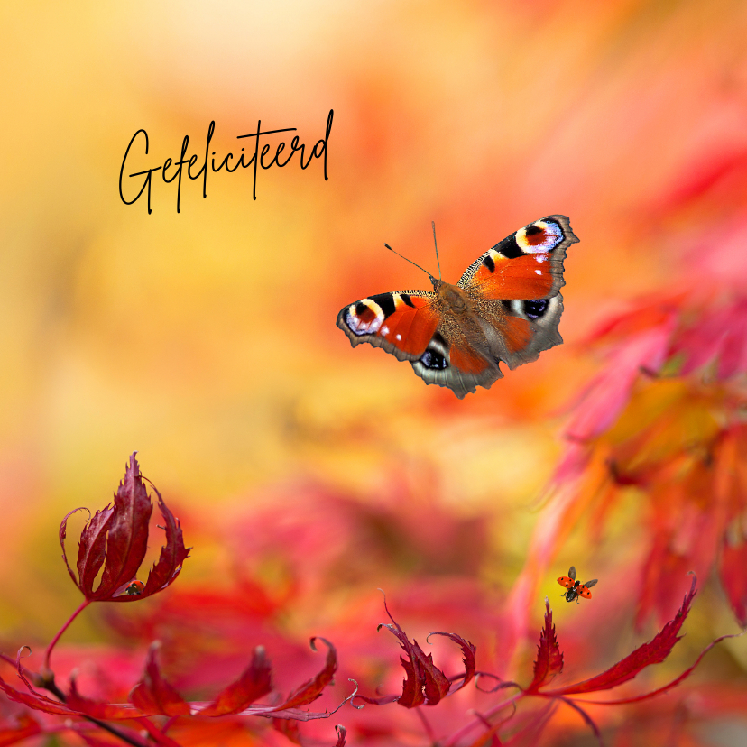 Verjaardagskaarten - Jarig met warme herfstkleuren