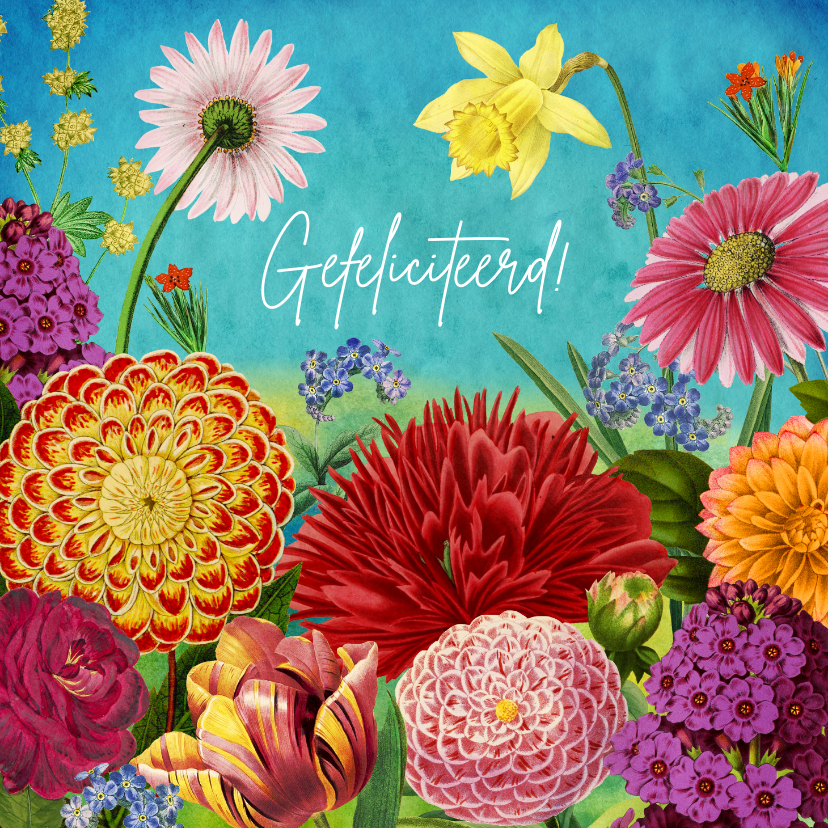 Verjaardagskaarten - Kleurrijke bloemen felicitatiekaart