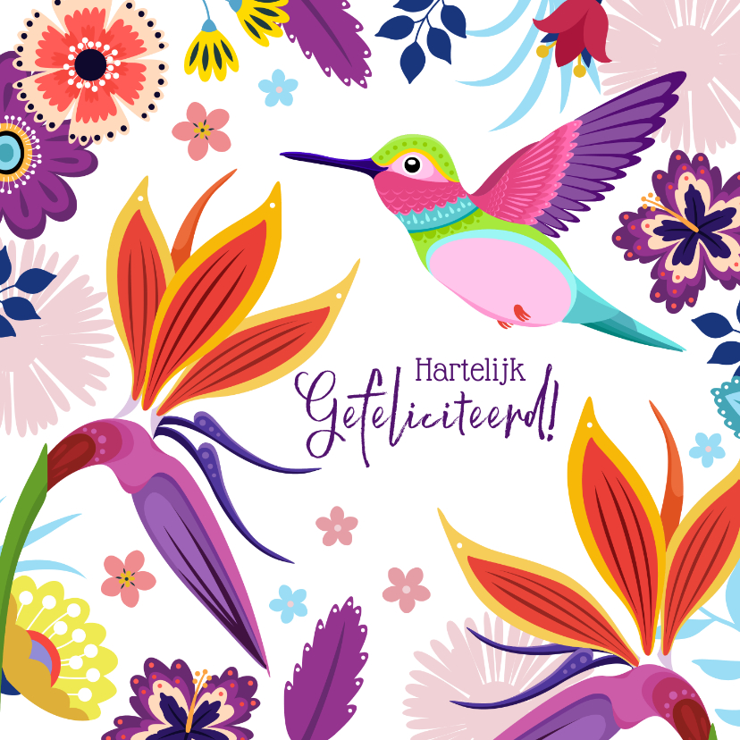 Verjaardagskaarten - Kleurrijke kolibrie verjaardagskaart