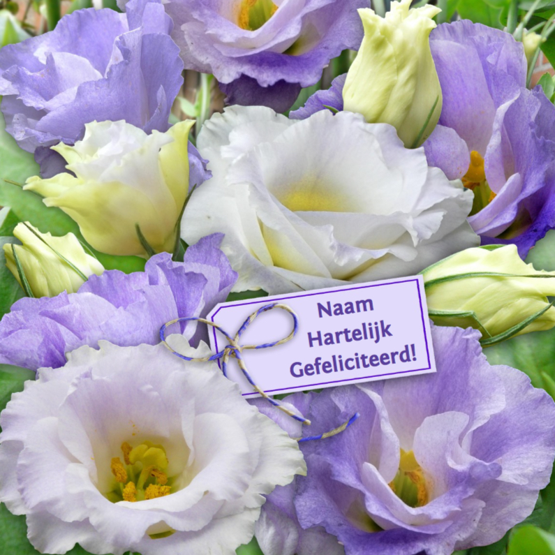 Leuke verjaardagskaart bloemen in blauw en wit met labeltje - Verjaardagskaarten Verjaardagskaarten - Leuke verjaardagskaart bloemen in blauw en wit met labeltje