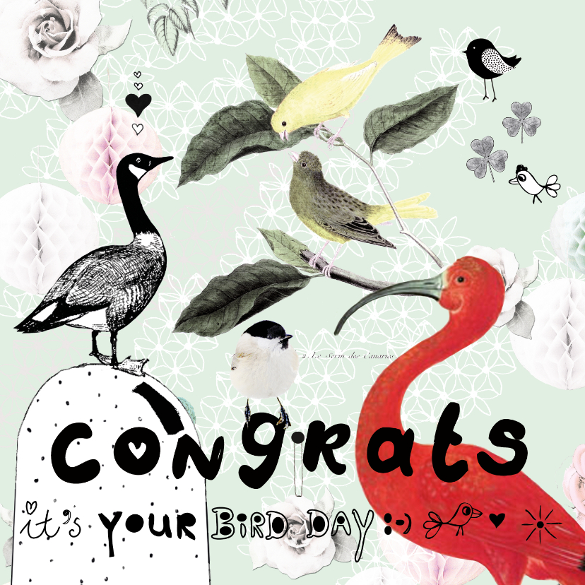 Leuke verjaardagskaart 'It's your birdday!' Met vogels - Verjaardagskaarten Verjaardagskaarten - Leuke verjaardagskaart 'It's your birdday!' Met vogels