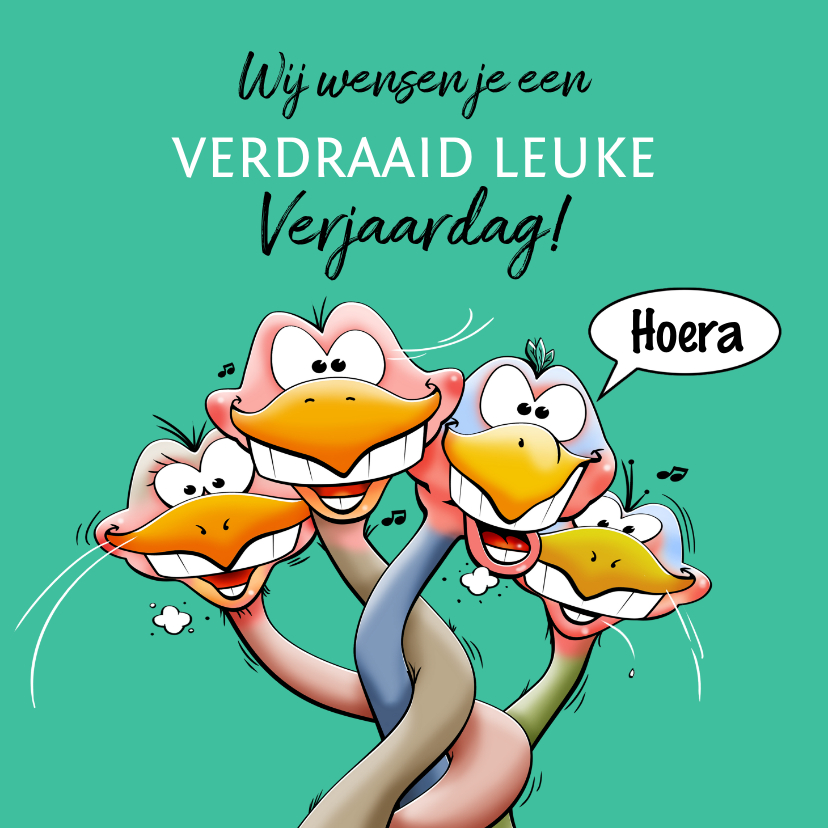 Verjaardagskaarten - Leuke verjaardagskaart met 4 verdraaid leuke struisvogels
