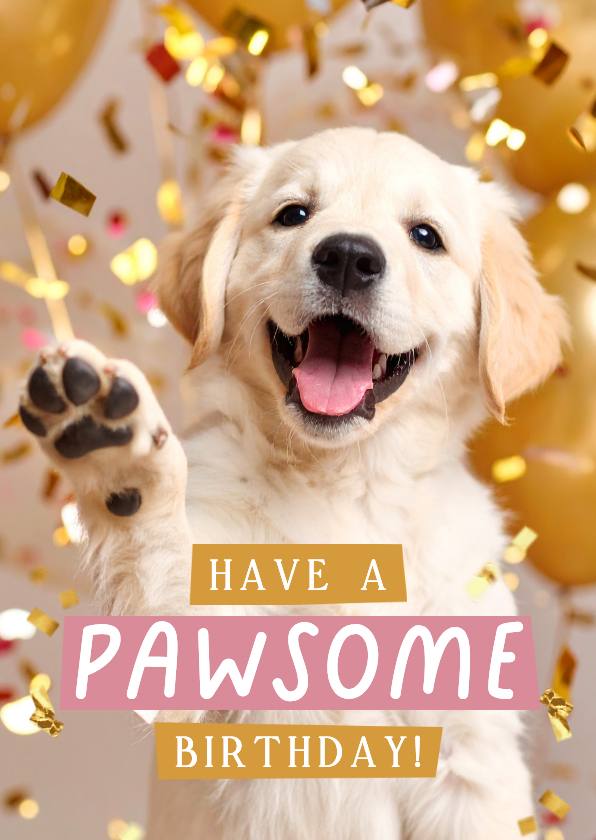 Lief verjaardagskaartje hond confetti pawsome birthday - Verjaardagskaarten Verjaardagskaarten - Lief verjaardagskaartje hond confetti pawsome birthday