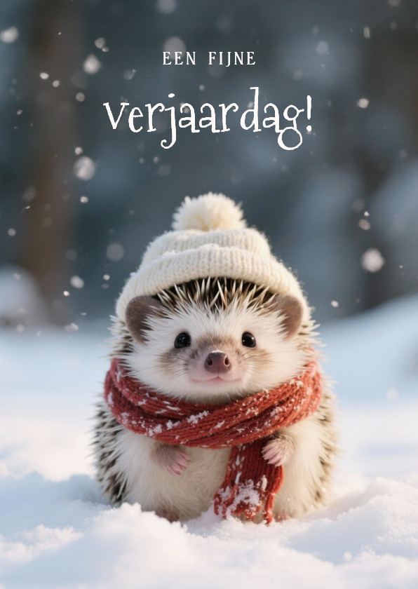 Verjaardagskaarten - Lief verjaardagskaartje met schattig egeltje in de sneeuw