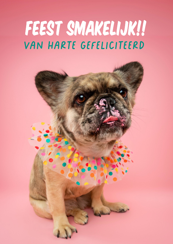 Lieve verjaardagskaart van Franse bulldog met taart - Verjaardagskaarten Verjaardagskaarten - Lieve verjaardagskaart van Franse bulldog met taart