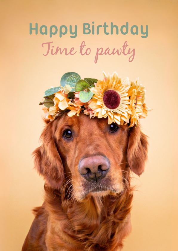 Lieve verjaardagskaart van hond met bloemenkrans - Verjaardagskaarten Verjaardagskaarten - Lieve verjaardagskaart van hond met bloemenkrans