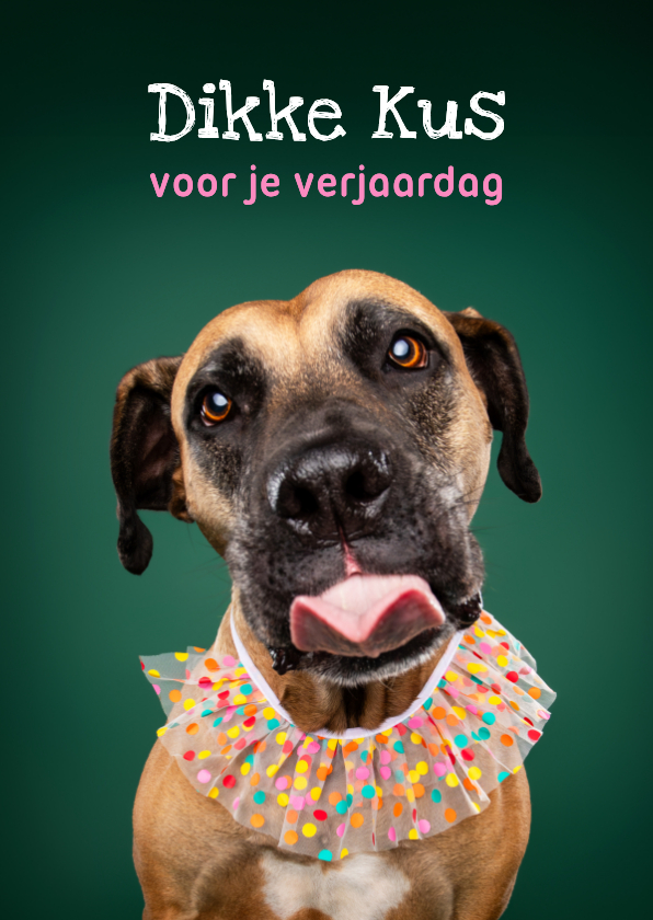 Verjaardagskaarten - Lieve verjaardagskaart van hond met kraag en tong