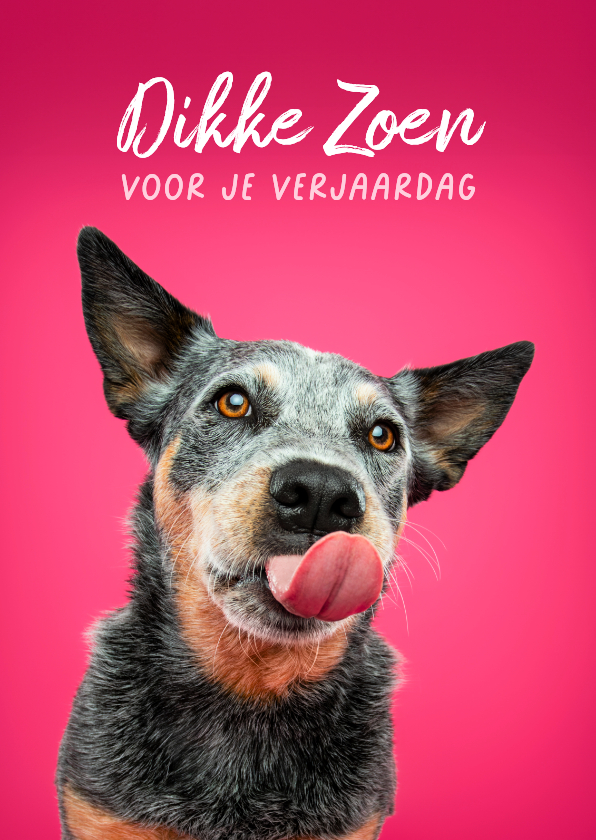 Lieve verjaardagskaart van vrolijke hond met tong uit bek - Verjaardagskaarten Verjaardagskaarten - Lieve verjaardagskaart van vrolijke hond met tong uit bek