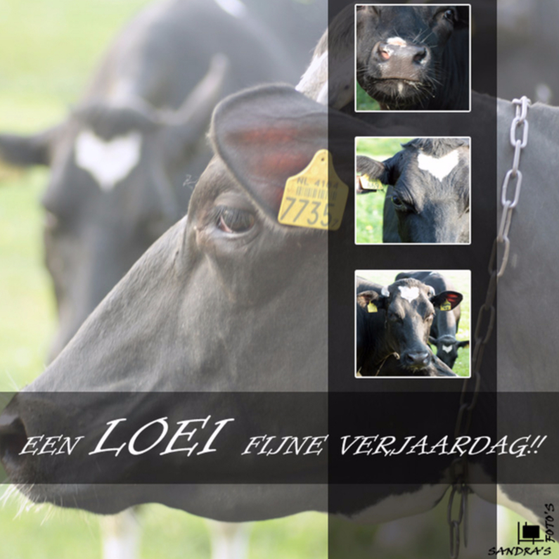 loeifijne verjaardag - Verjaardagskaarten Verjaardagskaarten - loeifijne verjaardag