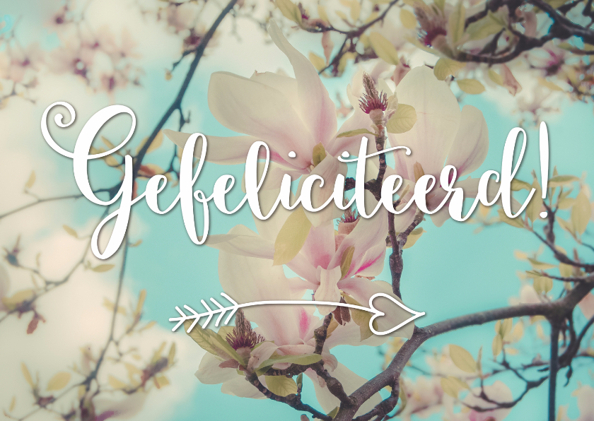 Magnoliabloesem - Gefeliciteerd - Verjaardagskaarten Verjaardagskaarten - Magnoliabloesem - Gefeliciteerd
