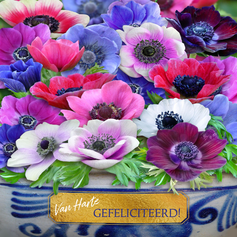 Mooie verjaardagskaart Anemonen met Keulse pot. - Verjaardagskaarten Verjaardagskaarten - Mooie verjaardagskaart Anemonen met Keulse pot.