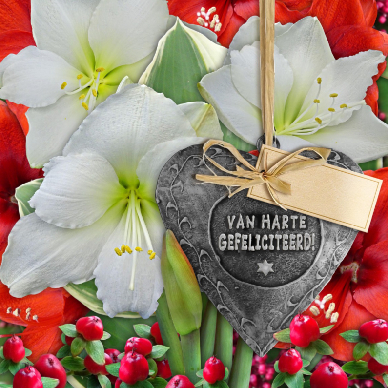 Mooie verjaardagskaart met koper hart en Amaryllis - Verjaardagskaarten Verjaardagskaarten - Mooie verjaardagskaart met koper hart en Amaryllis