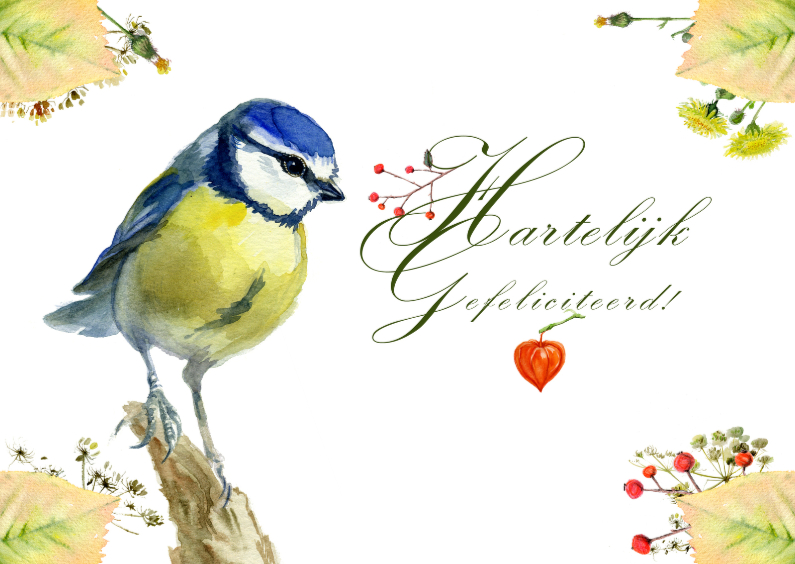 Pimpelmeesje verjaardagskaart - Verjaardagskaarten Verjaardagskaarten - Pimpelmeesje verjaardagskaart