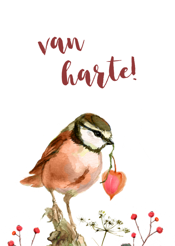 Roze vogeltje met een hartje - Verjaardagskaarten Verjaardagskaarten - Roze vogeltje met een hartje