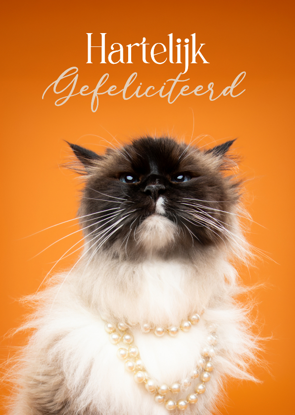Verjaardagskaarten - Schattige verjaardagskaart van kat met parelketting