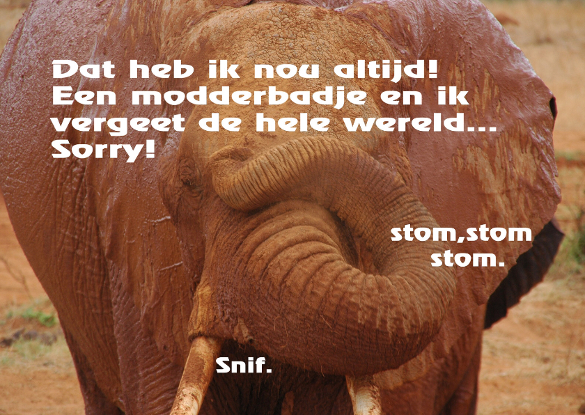 stom stom stom verjaardagskaarten