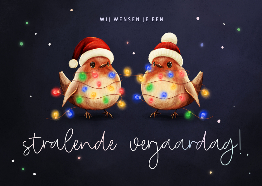 Stralende verjaardagskaart roodborstjes met lampjes - Verjaardagskaarten Verjaardagskaarten - Stralende verjaardagskaart roodborstjes met lampjes