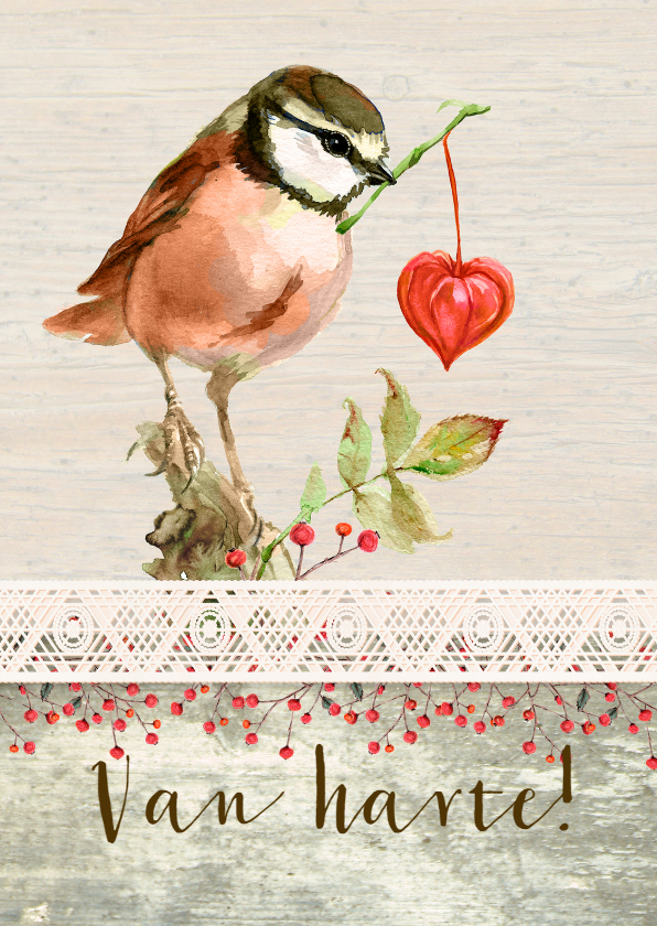 Van harte, met een vogeltje - Verjaardagskaarten Verjaardagskaarten - Van harte, met een vogeltje